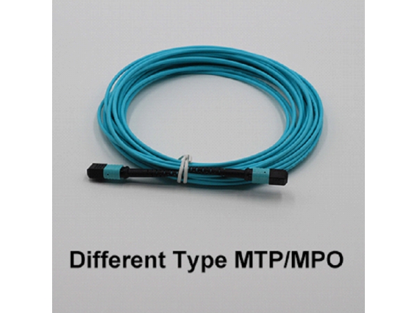 Different Type MTP/MPO